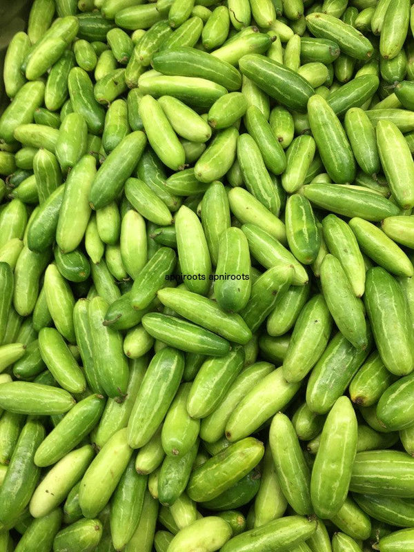 TINDORA - 1LB | (25-30 pcs approx.) - apniroots Grocery